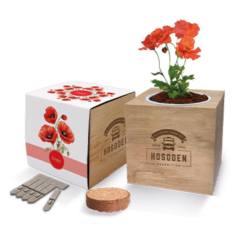 Image of Essential Desktop Cube Gardens